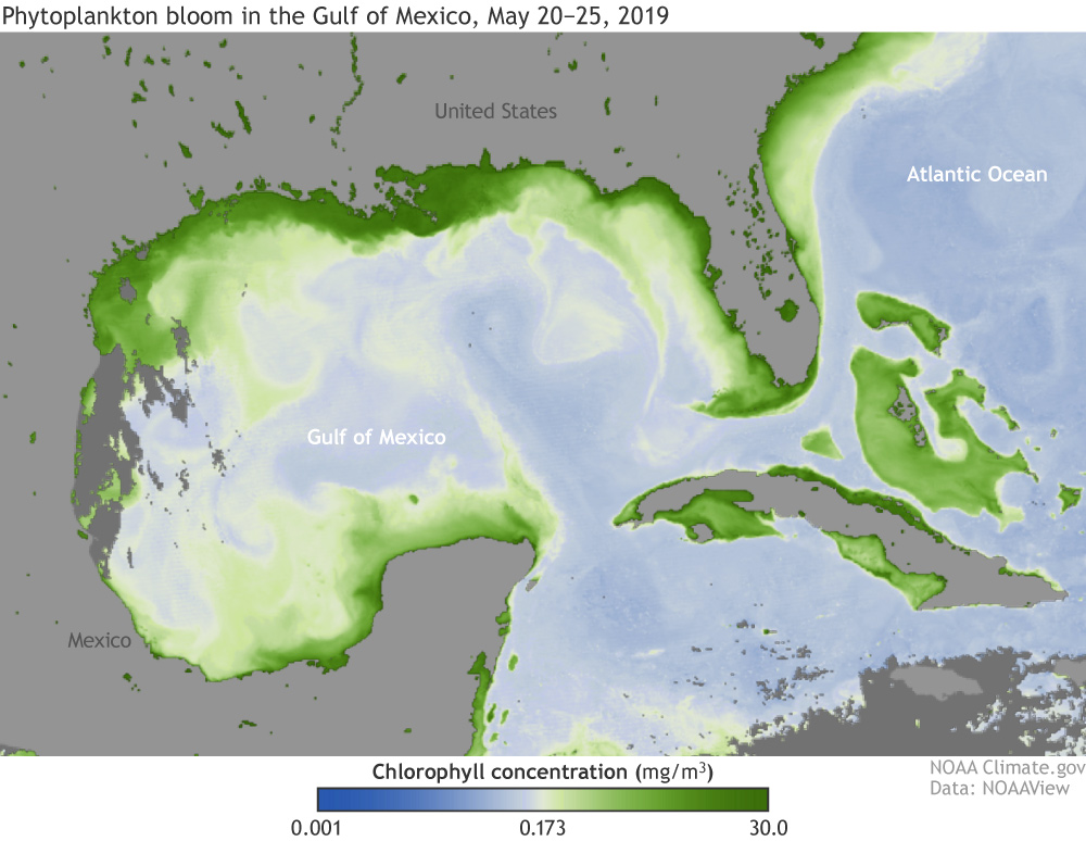 (Gulf of Mexico)